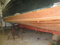 IMG_0342.jpg